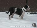 V Čechách sněží:)